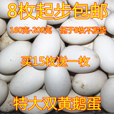 双黄鹅蛋农家生态散养新鲜土鹅蛋草鹅蛋孕妇和儿童首满8枚
