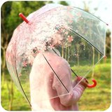 韩国创意透明樱花雨伞折叠学生公主儿童小清新日本晴雨长柄伞女神