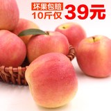 【福瑞达】大沙河苹果水果新鲜徐州丰县红富士苹果10斤包邮