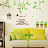 包邮 墙壁装饰贴画温馨卧室床头背景墙贴纸客厅清新花盆绿叶鸟笼