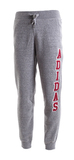 Adidas阿迪达斯NEO男裤 收腿针织运动长裤 AB3663