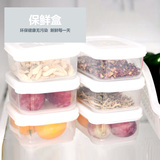 日本进口保鲜盒小型  90ml 3个入 冰箱收纳饺子盒密封盒 长方形