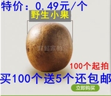 特价 广西特产桂林永福野生罗汉果花茶新果散装批发100个包邮