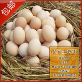 正宗苏北农家土鸡蛋30枚装新鲜鸡蛋纯天然散养柴鸡蛋草鸡蛋包邮