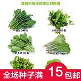 阳台种菜 蔬菜种子 套餐包邮 四季家庭种植 可盆栽 6种