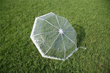 三折透明雨伞韩国小清新折叠晴雨伞女学生创意花边公主伞包邮