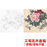 CB19高清国画花卉牡丹工笔画白描底稿线描稿练习实物电子版打印稿