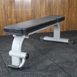 专业多功能哑铃凳哑铃椅举重卧推商用平凳健身房器械承重500公斤