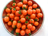 广西百色田阳圣女果新鲜小番茄产地直销5斤装广西特色水果