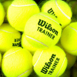 正品威尔逊Wilson Trainer羊毛训练网球 无压练习网球T1311B