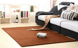 纯色珊瑚绒地毯卧室客厅茶几垫瑜伽垫地垫加厚儿童地毯垫定制满铺