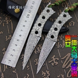 进口VG10大马士革钢刀手工收藏小直刀户外随身携带一体猎刀水果刀