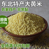 东北特产 农家大黄米黏黄米 黄糯米 粘豆包粽子年糕 大黄米250g