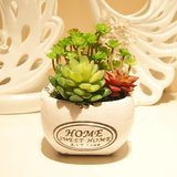 绿色多肉植物组合套装花艺 仿真花假花盆栽摆设绿植办公桌摆放花