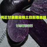黑金刚土豆种 高原紫土豆种 纯正甘肃黑土豆脱毒原种 5斤包邮