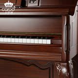 CAROD卡罗德全新高端立式钢琴小天使钢琴T25-A进口配置包邮