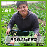 北京天津草帽农家有机种植蔬菜小汤山绿色 8斤包邮配送