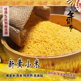 黄小米 500g 小黄米 月子米 农家新米 小米粥无污染 宝宝米