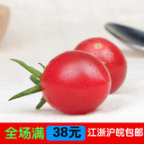 特价水果 新鲜千禧果圣女果樱桃小番茄有机绿色水果 500g