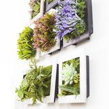 贝拉3D立体墙饰 创意家居墙上装饰品 挂件 仿真植物墙面装饰壁挂