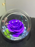 玻璃罩永生花 浪漫紫色玫瑰永生花 创意生日结婚礼物 送女友礼物