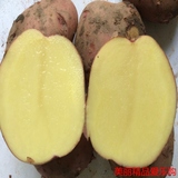2016年刚挖的 新鲜土豆 红皮黄心土豆 非转基因土豆 36元8斤