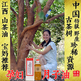 江西野生山茶油食用油纯天然农家自榨压榨特极孕妇月子茶籽油