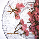 【甜蜜坊】日本盐渍樱花 长柄30g分装 慕斯蛋糕装饰 樱花茶 烘焙