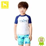韩国新款男童泳衣鲨鱼短袖防晒中小儿童游泳衣泳裤分体式宝宝泳装