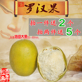 罗汉果 特级果大果10个 广西桂林特产 永福龙江低温脱水罗汉果茶