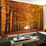 3D立体现代简约客厅电视背景墙壁纸空间扩展大型壁画秋天枫叶森林