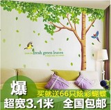 特大型墙贴墙壁装饰餐厅客厅电视背景浪漫卧室墙上贴纸贴画绿树叶
