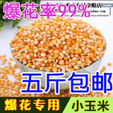新货优质小玉米粒爆裂玉米爆花玉米爆米花玉米 爆花率99%  250g