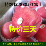 红富士苹果新鲜苹果有机水果新货甜脆胜洛川静宁阿克苏冰糖心五斤