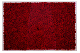 现代简约创意手工红玫瑰立体画样板房会所酒店别墅实物画高档挂画