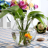 热销宜家创意绿箩多肉水培植物迷你花边口桌面玻璃小花瓶花器鱼缸