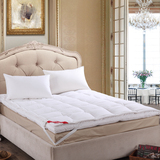 五星级酒店出口美国95%白鹅绒羽绒双层床垫保暖羽绒床垫可定做