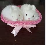 包邮仿真兔子儿童毛绒玩具小白兔子公仔模型送女友端午节生日礼物