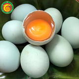 【马槽山】农家散养黑羽鸡绿壳蛋柴土鸡蛋/30枚鸡蛋新鲜