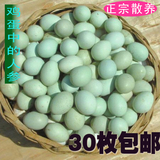 江西特产鄱阳湖农家散养新鲜土鸡蛋山鸡蛋绿壳乌鸡蛋散装30个包邮
