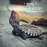小鳄龟头苗活体杂佛北美 蛇鳄龟水龟小乌龟宠物龟背甲3-4cm全品