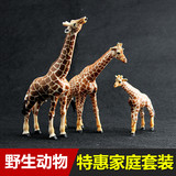 儿童仿真模型玩具野生动物园世界抬头公母长颈鹿雌雄麒麟鹿幼崽