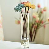 包邮欧式中号小号创意透明玻璃鲜花水培富贵竹插花瓶家居客厅摆件