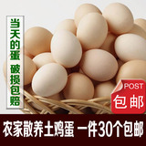 农家散养土鸡蛋 笨鸡蛋 新鲜鸡蛋 草鸡蛋当天的蛋 鸡蛋30个包邮
