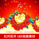 Z115中国风 喜庆花海 大屏幕 盛世牡丹花开 动态 LED背景视频素材