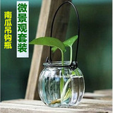 水培 南瓜吊钩瓶 水培花瓶 玻璃花盆 玻璃瓶 约150克