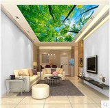 美式3D立体视觉扩展壁纸简约卧室客厅书房吊顶大型天花板墙纸壁画