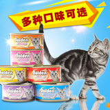 特价日本golden金赏猫罐头湿粮 纯金枪鱼味170g 猫猫零食宠物零食