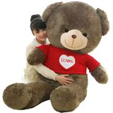 熊熊毛绒玩具Teddy Bear/泰迪熊生日礼物PP棉女毛绒布艺类玩具