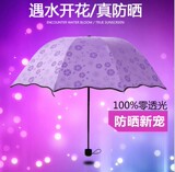韩国晴雨伞创意遇水开花天堂伞三折叠黑胶防晒防紫外线遮阳伞女伞